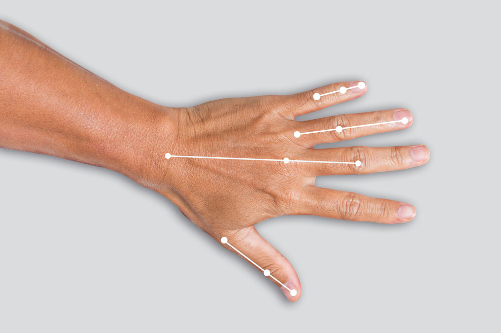Hand-von-oben_Goldener-Schnitt